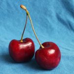 stippling_cherries-color